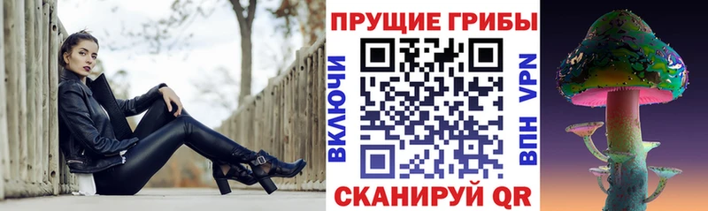 Галлюциногенные грибы Psilocybe  Купить где  Симферополь 